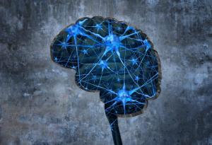 Мозъчни сканирания на едноръки хора променят разбирането ни за мозъка