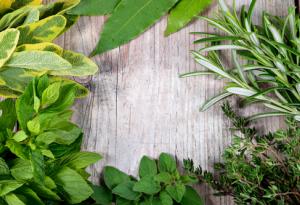 Китайците лекуват с 10 000 билки