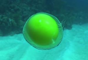 Вижте какво се случва, когато счупим яйце на 18 метра под водата