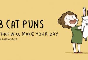 8 непреводими котешки игри на думи