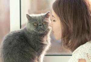 Учени обясниха как котките удължават живота ни