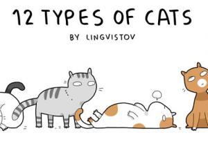 12-те типа котки