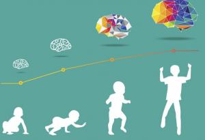 6 любопитни факта за детския мозък