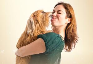 Кучешката целувка може да е опасна