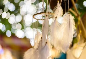 27 съвета за по-добър живот от един потомствен шаман 