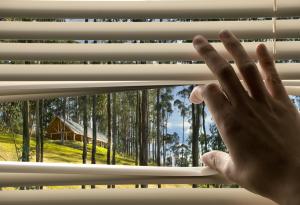 Има връзка между мястото на живеене и характера