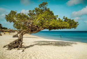 Тези 10 страхотни плажа ще отмият зимната меланхолия