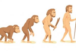 Тест: За еволюцията