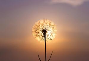 Посрещни мъдрия с намигване, а глупака – с ритник