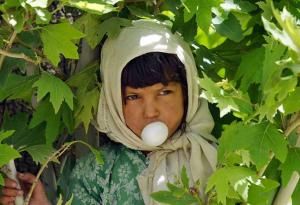 Странни, но ефективни начини да подобрите краткосрочната си памет