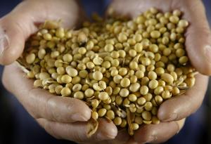 Играем ли на богове?