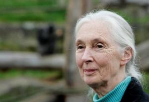 14 световни учени и техните любими научнофантастични книги и филми