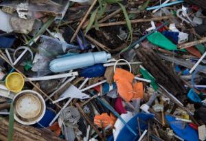 Откриха над 1000 парчета пластмаса в стомаха на мъртъв кит