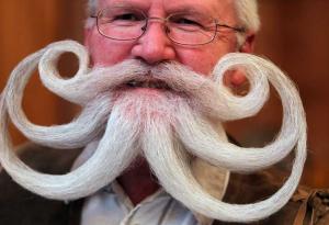 10 любопитни факта за брадите