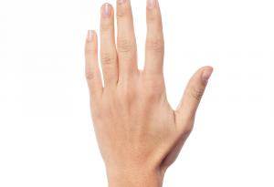 Какво можем да научим за характера от формата на ръцете