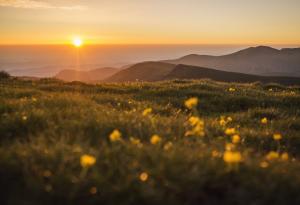 Приказните планински изграви през обектива на 18-годишния Павел Павлов