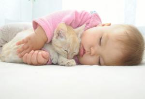 15 очарователни снимки, които доказват, че детенцето ви се нуждае от коте