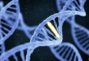 Откриха гените на интелигентността