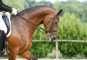 Да спечелиш състезание, въпреки че си мъртъв