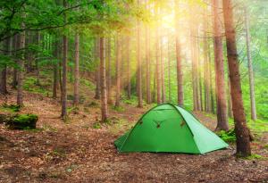 7 трика за оцеляване, които могат да спасят живота ви