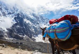 Притча: Не можеш да угодиш на всички