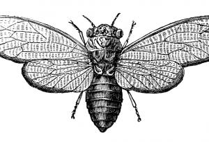 Тайнственият шифър 3301 продължава да бъде неразгадана мистерия