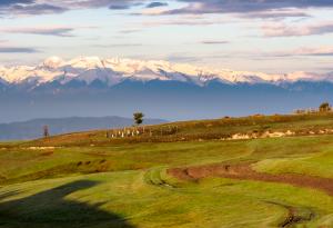 21 магични снимки, посветени на красотата на Пирин