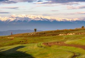 На Националния празник пожертваха Национален парк „Пирин“