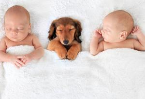 20 бебета, които не могат да живеят без пухкавите си приятели