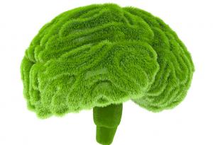 Зелената връзка