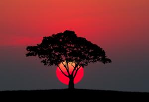 20 великолепни фотографии, посветени на красотата на света около нас