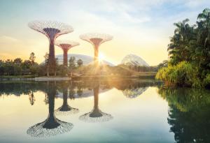 Соларните дървета в Сингапур: Една сюрреалистична фотогалерия