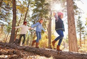 За добър успех – много движение