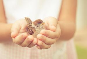 10-те черти на добрия човек или как е редно да се държим с останалите