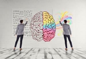 7 мита за мозъка, в които много преподаватели вярват