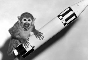 Животните в Космоса