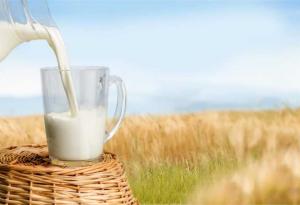 Трябва ли да пием мляко за здрави кости?