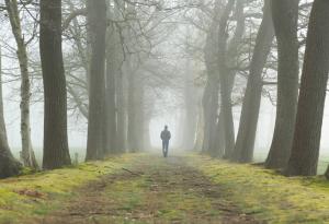 Научи се да живееш