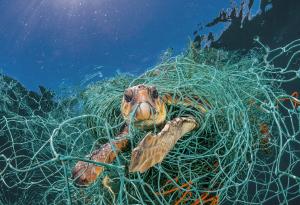 Кампанията на National Geographic „Планета или пластмаса?“ стартира и у нас