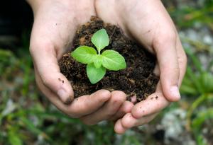 Как да се научиш първо да обичаш себе си