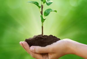 8 лесни и хубави неща, които можете да направите за планетата още днес