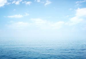 Франк Запа за съзнанието