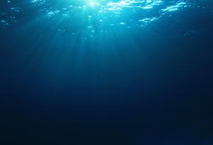 Мистериозно чудовище изхвърли морето край Тексас