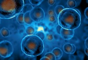 Тялото ви е по-младо от вас