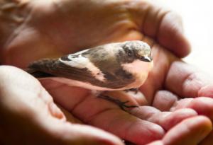 Искам да живея до човечни, много човечни хора