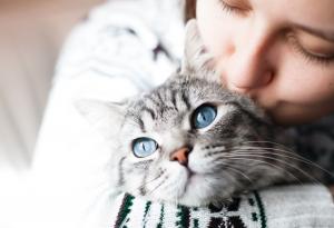 10 причини да си вземете котка