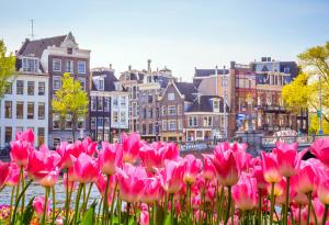 21 любопитни факта за Амстердам