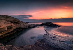 По случай Деня на Черно море WWF призовава да избираме устойчива морска храна