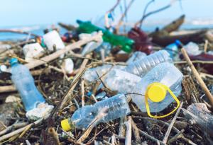 Какво наистина се случва с пластмасата, която изхвърляте?
