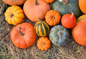 Хапвайте тиква за здраво сърце